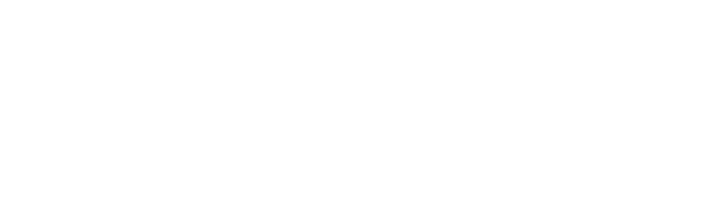 Plensity